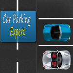 Car Parking Expert